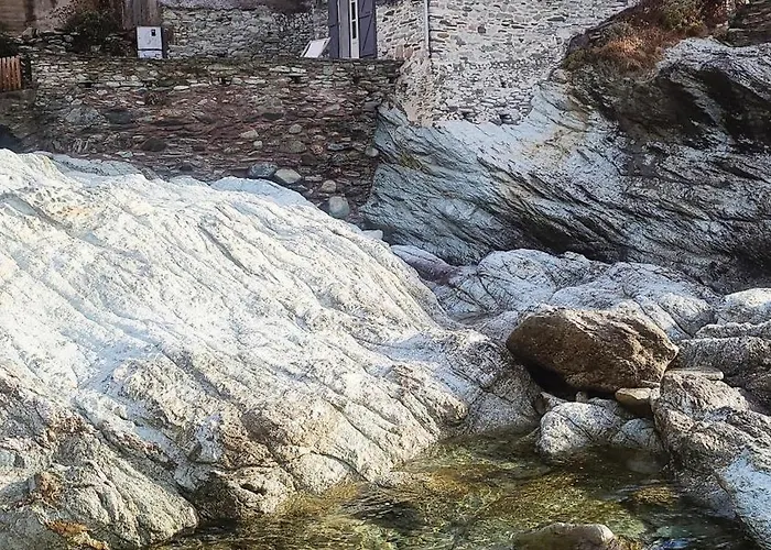 Hébergement de vacances Cabanon Petronille